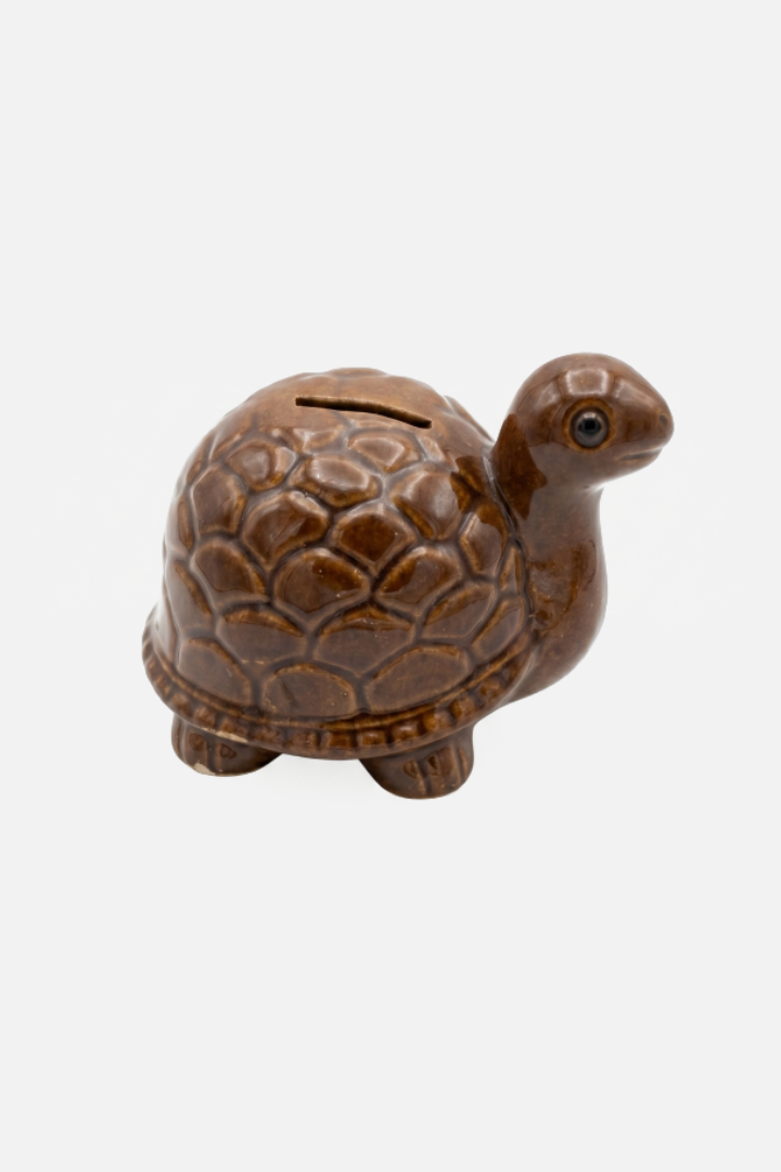 Turtle Coin Bank